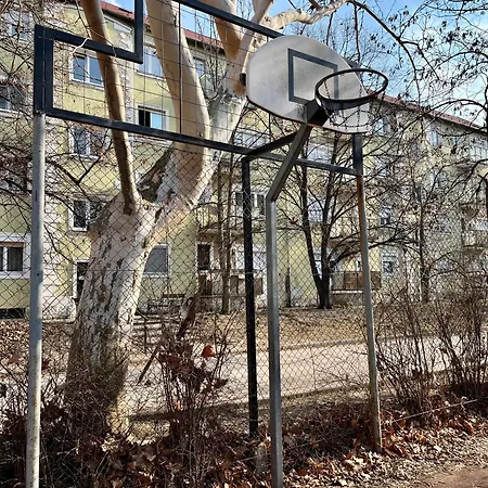 Falcon Apartment