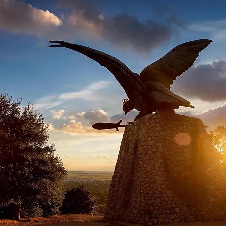 Falcon * Tatabánya
