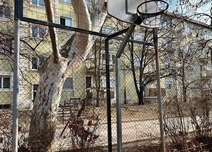 Falcon דירה